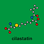 Cilastatin molecule, illustration
