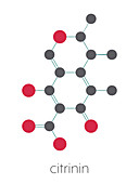 Citrinin mycotoxin molecule, illustration