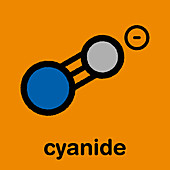 Cyanide anion chemical structure, illustration