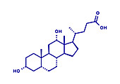 Deoxycholic acid bile acid molecule, illustration