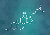 Deoxycholic acid bile acid molecule, illustration