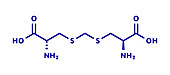 Djenkolic acid molecule, illustration