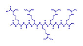 Etelcalcetide drug molecule, illustration