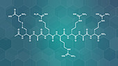 Etelcalcetide drug molecule, illustration