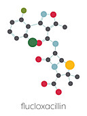 Flucloxacillin antibiotic drug molecule, illustration