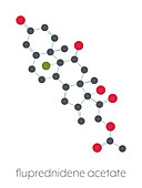 Fluprednidene acetate corticosteroid molecule, illustration