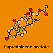 Fluprednidene acetate corticosteroid molecule, illustration