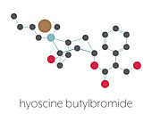 Butylscopolamine drug molecule, illustration