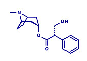 Hyoscyamine alkaloid molecule, illustration