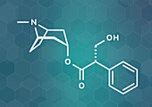 Hyoscyamine alkaloid molecule, illustration