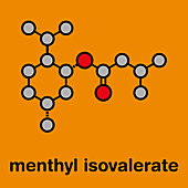 Menthyl isovalerate drug molecule, illustration