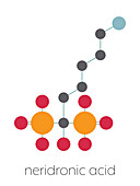 Neridronic acid drug molecule, illustration