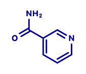 Nicotinamide adenine dinucleotide coenzyme molecule