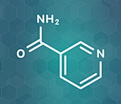 Nicotinamide adenine dinucleotide coenzyme molecule