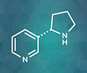 Nornicotine alkaloid molecule, illustration