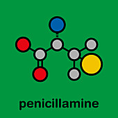 Penicillamine drug molecule, illustration