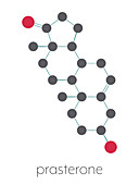 Prasterone drug molecule, illustration