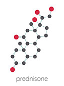 Prednisone corticosteroid drug molecule, illustration