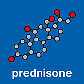 Prednisone corticosteroid drug molecule, illustration