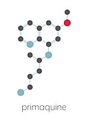 Primaquine malaria drug molecule, illustration