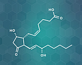 Prostaglandin D2 molecule, illustration