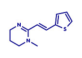 Pyrantel antinematodal drug molecule, illustration