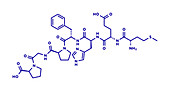Semax peptide drug molecule, illustration
