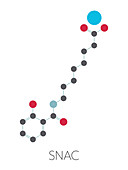 Sodium salcaprozate or SNAC molecule, illustration