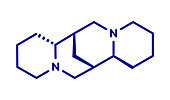 Sparteine scotch broom alkaloid molecule, illustration
