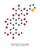 Teniposide cancer drug molecule, illustration