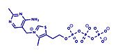 Thiamine triphosphate molecule, illustration