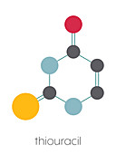 Thiouracil drug molecule, illustration