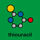 Thiouracil drug molecule, illustration