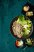 Larb mit Putenhackfleisch (Laos)