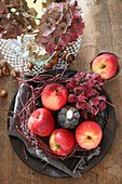 Herbstliche Tischdeko aus Äpfeln, Zweigen, Hortensienblüten und Kerze
