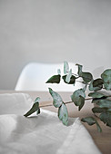 White tablecloth and eucalyptus branch on table