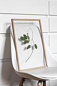 Dried leaves and picture frame on white chair