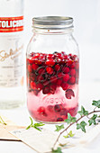 Cranberry-Wodka selbermachen