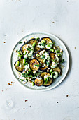 Roasted aubergines with broad beans from Israel