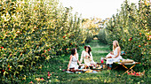 Long Weekend - A Moveable Feast - Crisp Autumn days make for perfect picnic weather so grab your basket and hit the park!