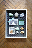 Maritime souvenirs in fabric-lined display case