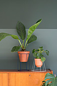 Houseplants in plant stands handmade from lampshades