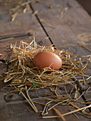 An egg on straw