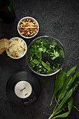 Ingredients for ramsons (wild garlic) pesto