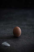 An egg and feather on a dark background