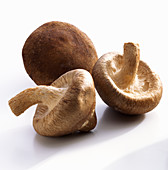 Three shiitake mushrooms against a white background