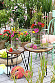 Vasen mit Gestecken aus Knöterich und Blumen auf dem Tisch auf der Terrasse