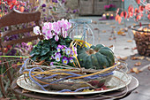 Silver bowl with cyclamen, horned violet and nutmeg gourd, woolen cord and grass instead of ribbon
