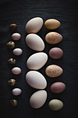 Eier in verschiedenen Größen und Farben, aufgereiht