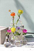 Bunte Frühlingsblumen in Vasen in Glühbirnen-Optik